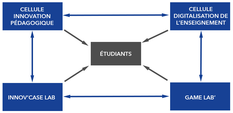 UN ECOSYSTEME DYNAMIQUE