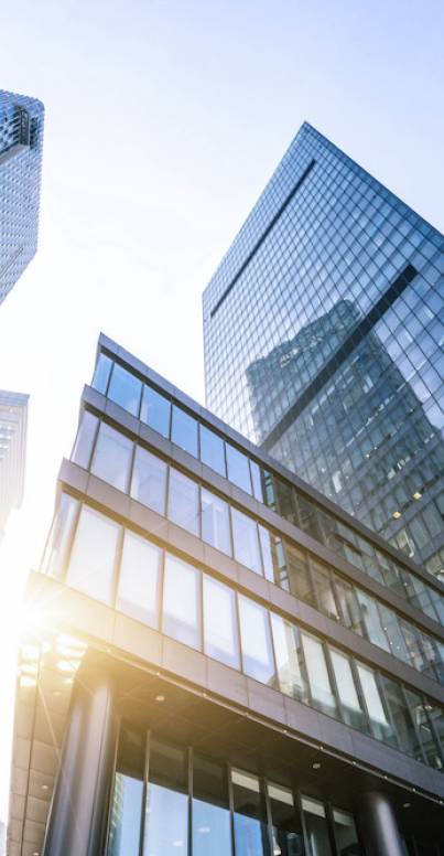 Des intervenants professionnels issus de l'entreprise